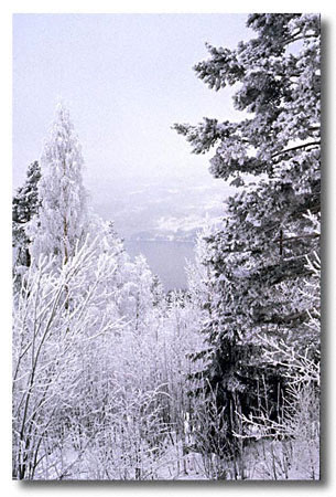 Norway, frosted landscape - Scan from a slide