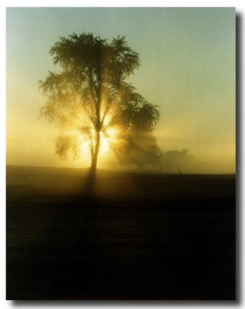 Early morning fog seen across a golf course - scan from a slide