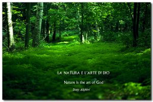 Nature is the art of God