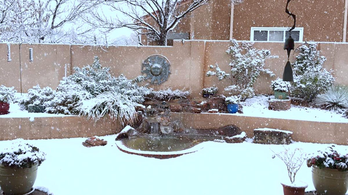 Early snow in the Albuquerque foothills